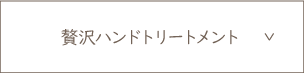 贅沢ハンドトリートメント